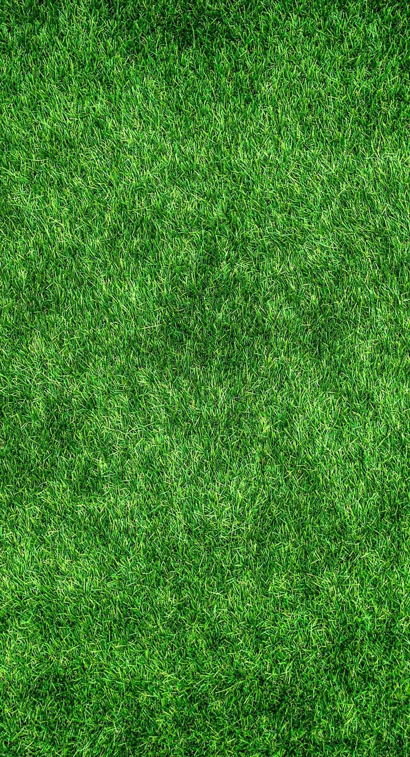 DIY Eco-Friendly Projects