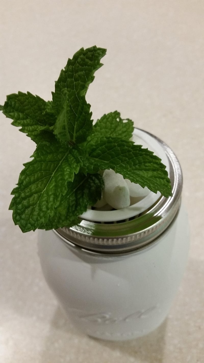 Repurposed mason jars as planters