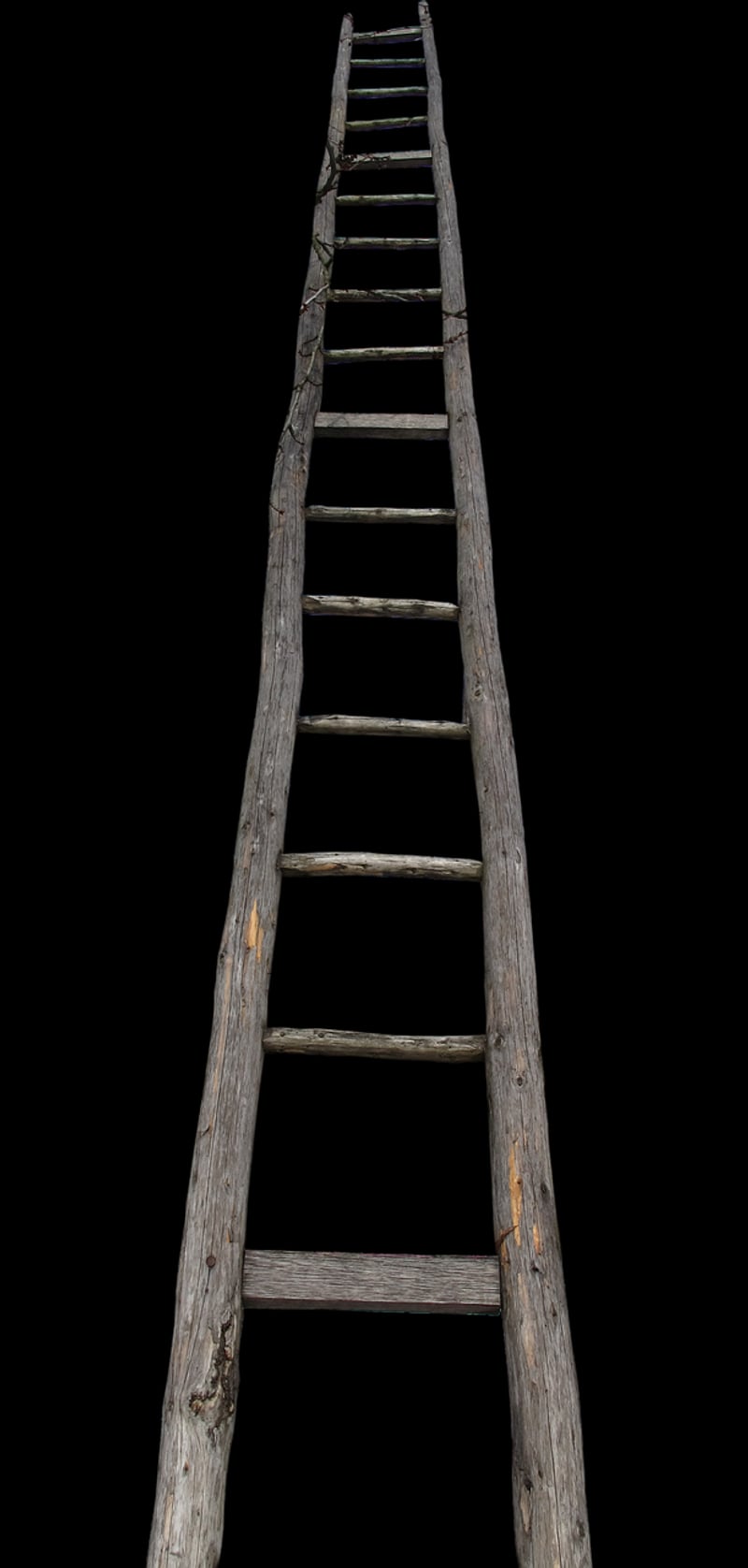 Repurposed ladder as bookshelf