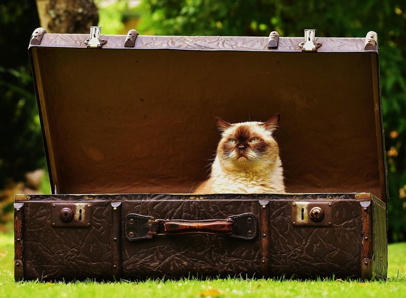 Repurposed vintage suitcases as storage containers